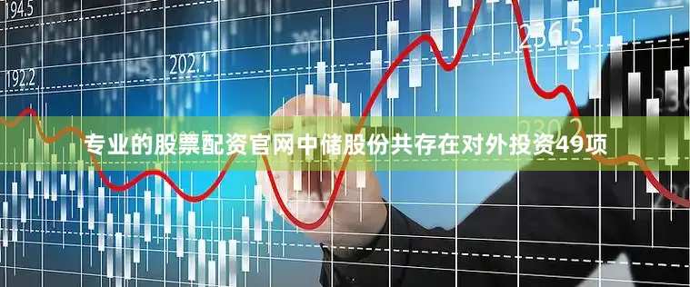 专业的股票配资官网中储股份共存在对外投资49项