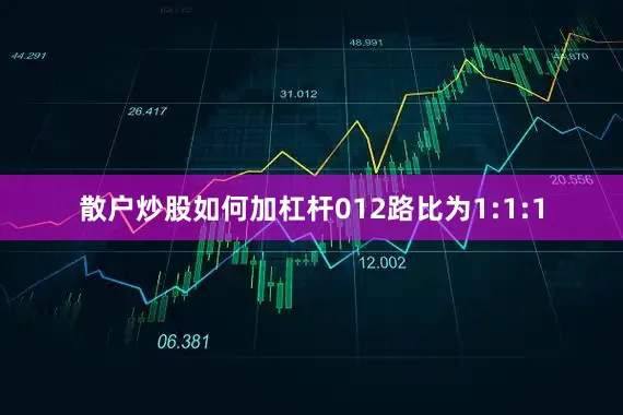散户炒股如何加杠杆012路比为1:1:1